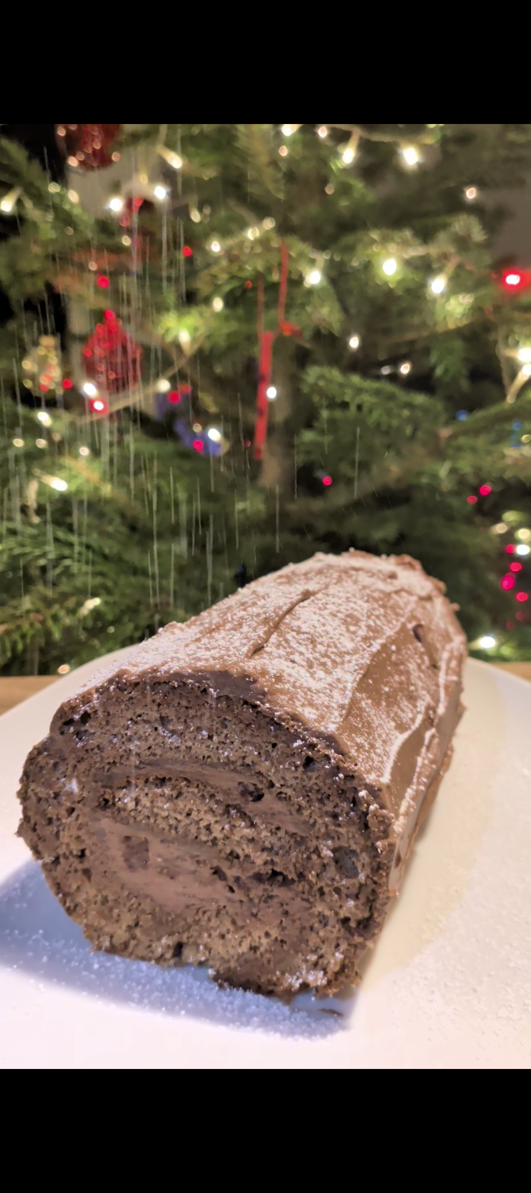 Chocolate Yule Log